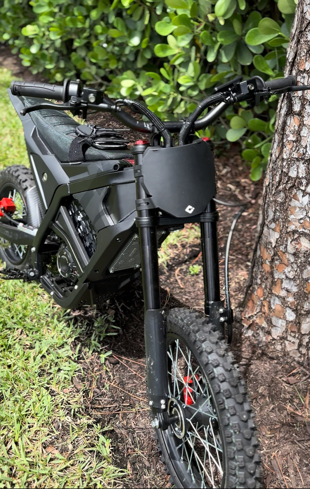 Ultra bee brake clicker (front brake)